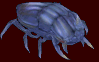 giantbeetlemoving.gif