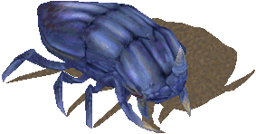 giantbeetleyu.gif